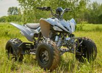 купить Квадроцикл SHARMAX Raizer Race Cup 250 в Москве - фото 