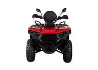 купить Квадроцикл BIZON YK200 Basic Carb в Москве - фото 