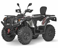 купить Квадроцикл BALTMOTORS Striker 500 EFI в Москве - фото 