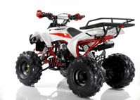 купить Квадроцикл MOTAX ATV Raptor Super LUX 125 cc в Москве - фото 