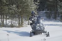 купить Снегоход БУРЛАК Егерь Центро Экспедитор в Москве - фото 