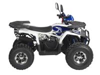 купить Квадроцикл AVANTIS Optima 8 Premium в Москве - фото 