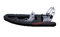 купить Лодка РИБ AQUASPIRIT 530 в Москве - фото 