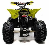 купить Квадроцикл MOTOLAND 125 Raptor в Москве - фото 