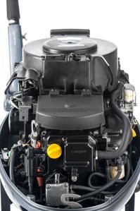 купить 4х-тактный лодочный мотор MIKATSU MF25FHL (2024) в Москве - фото 