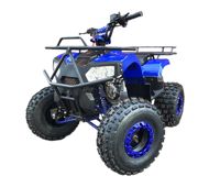 купить Квадроцикл MOWGLI Bold 8 в Москве - фото 