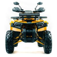 купить Квадроцикл MOTOLAND 200 Wild Track X Pro (Баланс. вал) (2021 Г.) в Москве - фото 