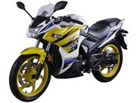 купить Мотоцикл LIFAN LF200-10P (KPR 200) ТУРЭНДУРО в Москве - фото 