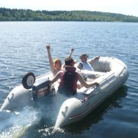 купить Лодка ПВХ BADGER Sport Line 430 AL в Москве - фото 