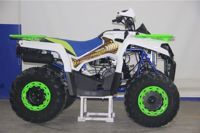 купить Квадроцикл AVANTIS Forester 200 Premium в Москве - фото 