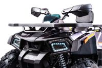 купить Квадроцикл MOTOLAND 200 Wild Track X Pro (2022) в Москве - фото 