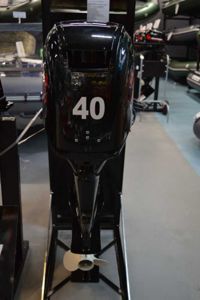 купить 4х-тактный лодочный мотор GOLFSTREAM F40FEL-T EFI в Москве - фото 