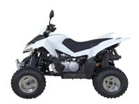 купить Квадроцикл SYM QuadRaider 300 SS в Москве - фото 