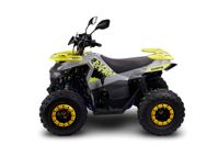 купить Квадроцикл AVANTIS Ray 8 Lux в Москве - фото 