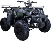 купить Квадроцикл AVANTIS Hunter 150 Lite в Москве - фото 