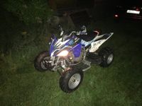 купить Квадроцикл ABM Scorpion 250 в Москве - фото 