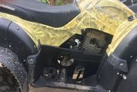 купить Квадроцикл MOTOLAND 250 Adventure (2021 Г.) в Москве - фото 