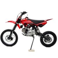купить Мотоцикл GS MOTORS S12 17/14 PITBIKE в Москве - фото 