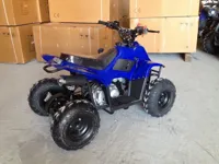 купить Квадроцикл RAPTOR 110 в Москве - фото 