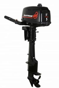 купить 2х-тактный лодочный мотор GOLFSTREAM T 5 BMS в Москве - фото 