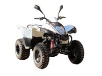 купить Квадроцикл ADLY ATV-150S в Москве - фото 