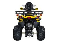 купить Квадроцикл AVANTIS Patriot Lux в Москве - фото 