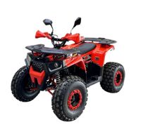 купить Квадроцикл BISON Forest 125 в Москве - фото 