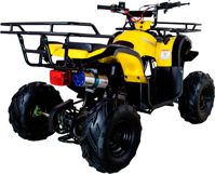 купить Квадроцикл AVANTIS Hunter 7 LITE в Москве - фото 