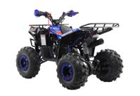 купить Квадроцикл MOTAX Grizlik A125 в Москве - фото 