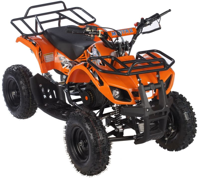 купить Квадроцикл MOTAX ATV Mini Grizlik X-16 (э/с) Big Wheel в Москве - фото 