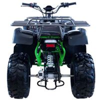 купить Квадроцикл MOTAX ATV Grizlik 200 Lux в Москве - фото 