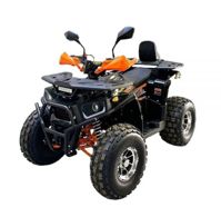 купить Квадроцикл BISON AFN 125 в Москве - фото 