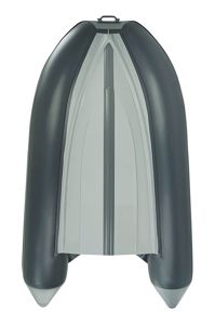 купить Лодка РИБ АНДРОМЕДА RS-305 в Москве - фото 