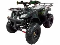 купить Квадроцикл WELS Thunder 200 в Москве - фото 