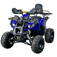 купить Квадроцикл STALKER 125 в Москве - фото 