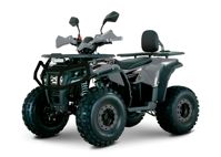 купить Квадроцикл YACOTA DRAGON 125 LUX в Москве - фото 