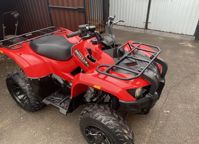 купить Квадроцикл GRIZZLY 300cc (2022) Б/У в Москве - фото 