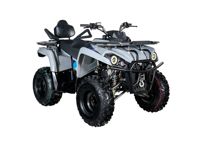 купить Квадроцикл AVANTIS Forester Long 200 Premium в Москве - фото 