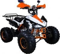 купить Квадроцикл AVANTIS Mirage 8M+ 125 2017 в Москве - фото 