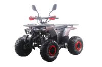 купить Квадроцикл MOTAX ATV Grizlik Premium 125cc в Москве - фото 