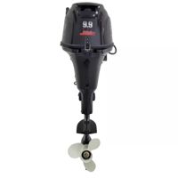 купить 4х-тактный лодочный мотор PARSUN F9.9ABMS-EFI в Москве - фото 