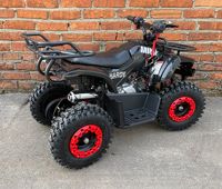 купить Квадроцикл MOWGLI Mini Hardy 4T в Москве - фото 