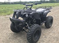 купить Квадроцикл HAMMER Hunter 300 в Москве - фото 