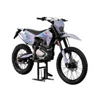 купить Мотоцикл DAREX Matay 300 ENDURO в Москве - фото 