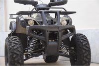 купить Квадроцикл UNIVERSAL Avenger JR 200 в Москве - фото 