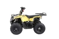 купить Квадроцикл ATV Atomik TT в Москве - фото 