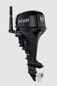 купить 2х-тактный лодочный мотор PARSUN T9.9BMS в Москве - фото 