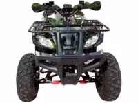 купить Квадроцикл WELS Thunder 200 в Москве - фото 
