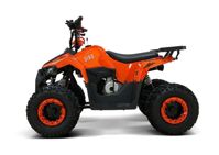 купить Квадроцикл ATV Giro в Москве - фото 