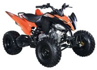 купить Квадроцикл ABM Scorpion 125M в Москве - фото 